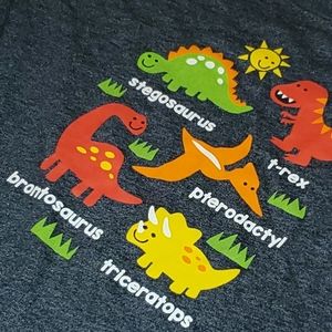 Boys dinosaur shirt